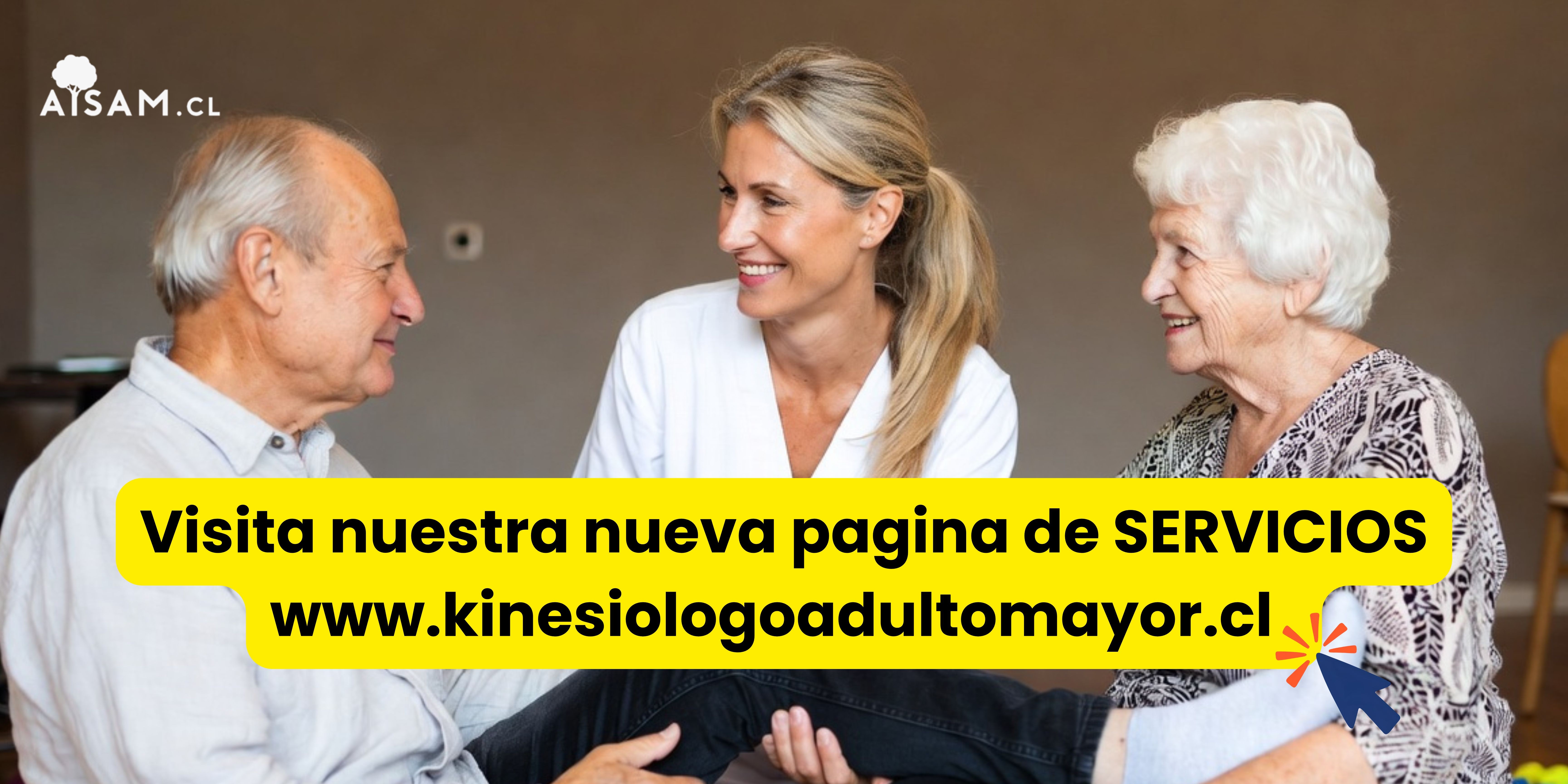 kinesiologoadultomayor.cl
